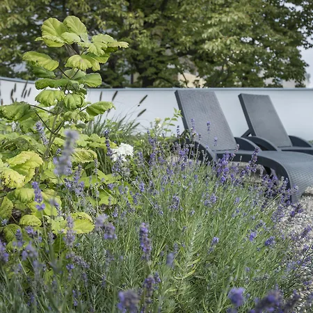 Feriested Admiral I 3*