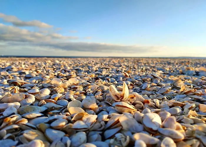 Admiral I Świnoujście